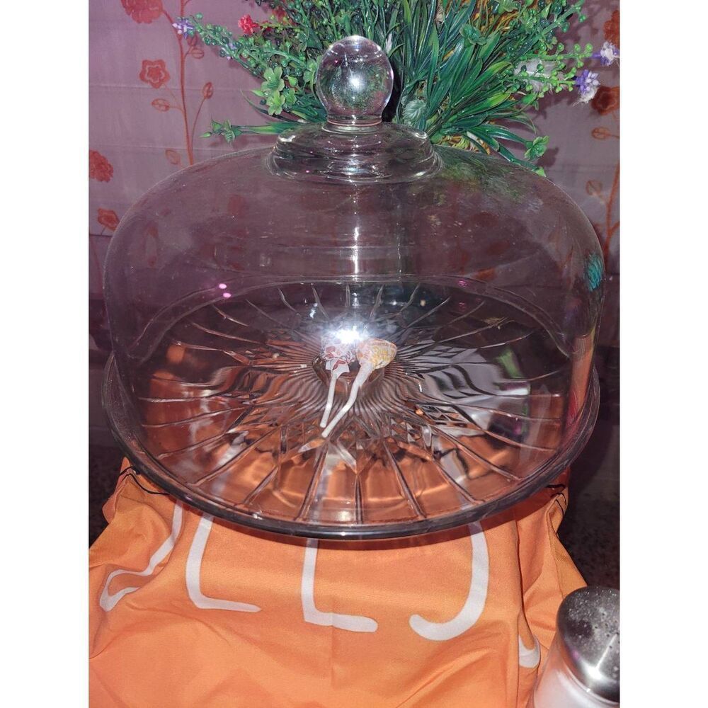 Crystal dish display cake container holder lid included